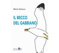 Il becco del gabbiano