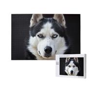 Il bel muso dell'husky è un cane divertente,Puzzle in legno da 1000 pezzi per famiglie, puzzle per adulti e adolescenti