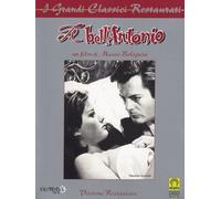 Il bell'Antonio