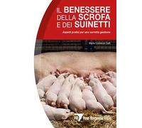 Il benessere della scrofa e dei suinetti