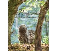 Il bergamasco. Da cane dei pastori a cane dei signori