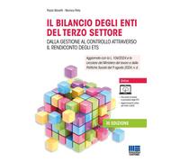 Il bilancio degli enti del terzo settore. Dalla gestione al contr