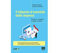Il bilancio d'esercizio delle imprese