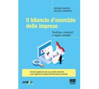 Il bilancio d'esercizio delle imprese - 2021 - Maggioli Editore