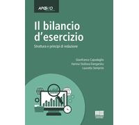 Il bilancio d'esercizio. Struttura e principi di redazione - 2019