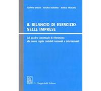 Il bilancio di esercizio nelle imprese. Dal quadro concettuale di riferimento alle nuove regole contabili nazionali e internazionali