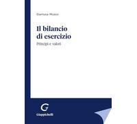 Il bilancio di esercizio. Principi e valori