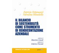 Il bilancio di sostenibilità come strumento di rendicontazione aziendale -...