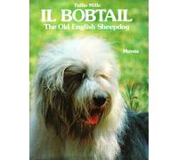 Il bobtail. The old English sheepdog