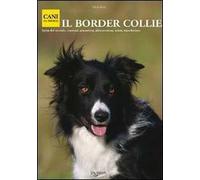 Il border collie
