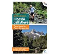 Il bosco dell'Alevé. Camminare nel Parco del Monviso