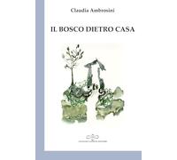 Il bosco dietro casa