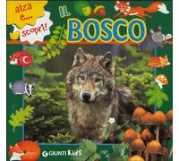 Il bosco. Ediz. illustrata