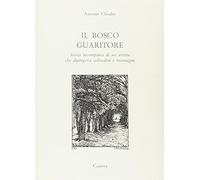 Il bosco guaritore. Storia incompiuta di un artista che dipingeva solitudini e montagne