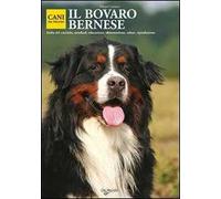 Il bovaro bernese