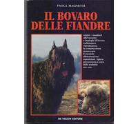 Il bovaro delle Fiandre