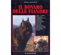 Il bovaro delle Fiandre