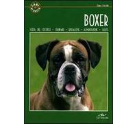 Il boxer