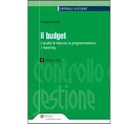 Il budget. L'analisi di bilancio, la programmazione, il reporting