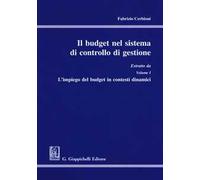 Il budget nel sistema di controllo di gestione. Estratto