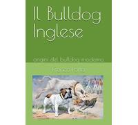 Il Bulldog Inglese: origini del bulldog moderno