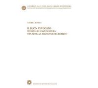 Il buon avvocato. Teorie dell'avvocatura tra storia e filosofia del diritto