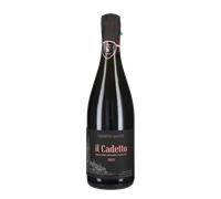 Il Cadetto' Saetti 2024