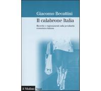 Il calabrone Italia. Ricerche e ragionamenti sulla peculiarità economica i...