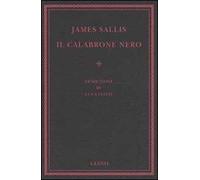 Il calabrone nero