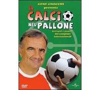 il calcio nel pallone