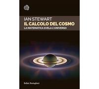 Il calcolo del cosmo. La matematica svela l'universo