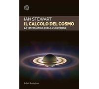 Il calcolo del cosmo. La matematica svela l'universo