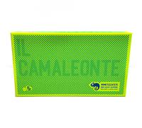 Il Camaleonte