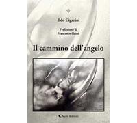 Il cammino dell’angelo