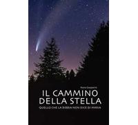 Il cammino della stella. Quello che la Bibbia non dice di Maria