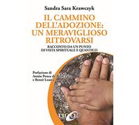 Il cammino dell'adozione: un meraviglioso ritrovarsi. Racconto da un punto di vista spirituale e quantico