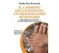 Il cammino dell'adozione: un meraviglioso ritrovarsi. Racconto da un punto di vista spirituale e quantico