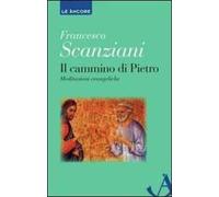 Il cammino di Pietro. Meditazioni evangeliche