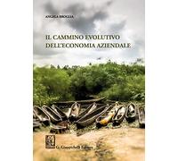 Il cammino evolutivo dell'economia aziendale