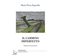 Il cammino imperfetto