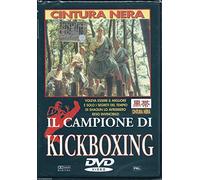 Il Campione Di Kickboxing