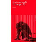 Il campo 29