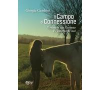 Il campo di connessione. Il viaggio tra l’esterno e l’interno di noi