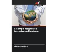 Il campo magnetico terrestre nell'esterno