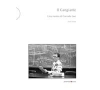 Il Cangiante. Una mostra di Corrado Levi