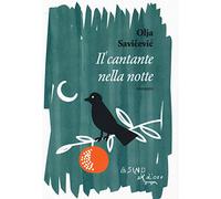 Il cantante nella notte