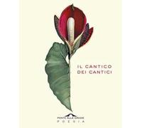 Il cantico dei cantici. Testo ebraico a fronte