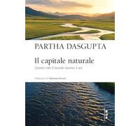 Il capitale naturale