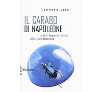 Il carabo di Napoleone e altri enigmatici insetti delle isole atlantiche