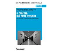 Il carcere: una città invisibile. Lo sguardo degli operatori volontari